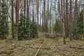 Atterrir  Grabijolai, Lituanie