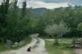Вилла 4 спальни 360 м² Умаг, Хорватия