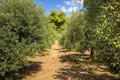 Atterrir 16 728 m² Neos Marmaras, Grèce