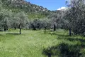 Land 1 room  Thassos Municipality, Greece