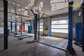Коммерческое помещение 248 м² Минск, Беларусь