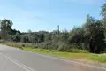 Land 1 room 1 800 m² Perithia, Greece