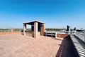 Propriété commerciale 242 m² à Dehesa de Campoamor, Espagne