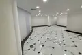 Gewerbefläche 91 m² in Odessa, Ukraine