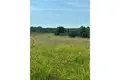 Land 5 832 m² Opcina Barban, Croatia
