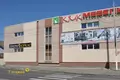 Shop 420 m² in Zhlobin, Belarus