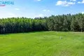 Land  Naujasis Tarpupis, Lithuania