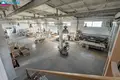 Коммерческое помещение 1 053 м² Sirvintos, Литва