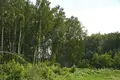 Wohnkomplex ZK Skandinavskij