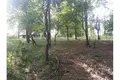 Parcelas 46 735 m² Grabovac, Croacia