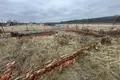 Ferienhaus 160 m² Orscha, Belarus