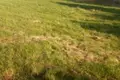 Działki 2 014 m² Koźmin Wielkopolski, Polska