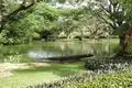 3-Zimmer-Villa 441 m² Rawai, Thailand