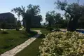 Investment  in Kastro, Greece