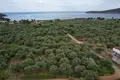Parcelas  Eastern Macedonia and Thrace, Grecia
