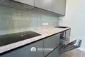 1 bedroom apartment 45 m² Kopishche, Belarus