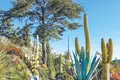 Complejo residencial First-class residential complex with a swimming pool, a garden and panoramic sea views in Eze, Cote d'Azur, France
