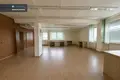 Gewerbefläche 375 m² in Alitten, Litauen