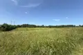 Grundstück  Pryliepy, Belarus