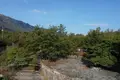 Chalet 7 zimmer 237 m² Zagori Municipality, Griechenland