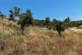 Atterrir 6 662 m² Nikiti, Grèce