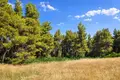 Działki 12 000 m² Kassandrino, Grecja