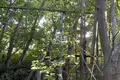 Atterrir 800 m² Sokolskoe, Russie