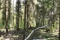 3 room house 92 m² Recicy, Russia