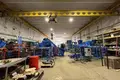 Warehouse 6 480 m² in Mikhnevo, Russia
