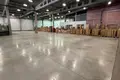 Warehouse 1 room 660 m² in Chaciezyna, Belarus