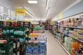 Commercial property 1 045 m² in Niedernissa, Germany