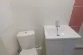 Wohnung 1 zimmer 13 m² Homel, Belarus