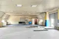 Manufacture 1 451 m² in Barysaw, Belarus