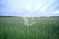 Dom 361 m² Lasanski sielski Saviet, Białoruś