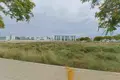 Atterrir 5 244 m² Elx Elche, Espagne