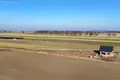 Grundstück 795 m² Czarnotki, Polen