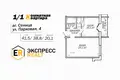 1 room apartment 42 m² Sienica, Belarus