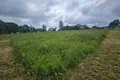 Parcelas  Haranski sielski Saviet, Belarús