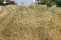 Земельные участки 1 000 м² Polygyros Municipality, Греция