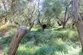 Земельные участки 1 комната  Хломос, Греция