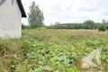 Atterrir  Lieninski sielski Saviet, Bélarus