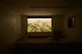 3 room apartment 80 m² Poznan, Poland