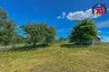 House 49 m² Valozynski sielski Saviet, Belarus