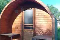 House 31 m² Navasiolkauski sielski Saviet, Belarus