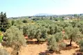 Atterrir 1 chambre  Gavalochóri, Grèce
