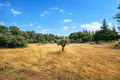 Atterrir 10 000 m² Neos Marmaras, Grèce
