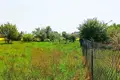 Grundstück 1 438 m² Pniewo, Polen