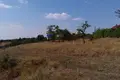 Land  Odesa, Ukraine