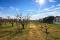 Parcelas 5 400 m² Nea Plagia, Grecia