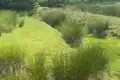 Grundstück  Ureki, Georgien